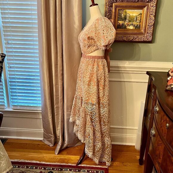 NWT $330 ELLIATT Melancholy Eyelet Maxi Dress in Pink Blush Size XS - Picture 10 of 13